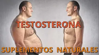 QUÉ SUPLEMENTOS NATURALES AUMENTAN TU TESTOSTERONA? (SIN FUERZA DE VOLUNTAD)