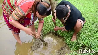 Survival skills : Fish trap meet the big fish - Go fish trap and meet big fish stranded by the river