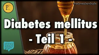 Diabetes mellitus (Teil 1) - Wie entsteht die Erkrankung und wofür brauchen wir Insulin?