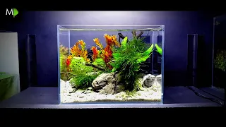 STEP BY STEP: how to set up a NANO fish tank, shrimp aquarium, planted tank