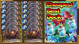 Cheapest Best Deck In Scholomance Academy | Infinite Gibberling Token Druid | Hearthstone