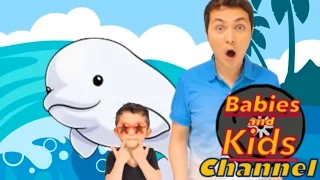 BABY BELUGA | Babies and Kids Channel | Nursery Rhymes for children and toddlers | Raffi