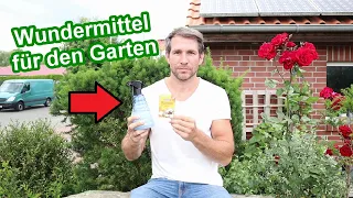 Natron als Wundermittel im Garten! Natron im Garten einsetzen – Unkraut, Ameisen, Schädlinge, uvm.