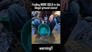 Finding MORE GOLD in the illegal ground sluice!!! part 6