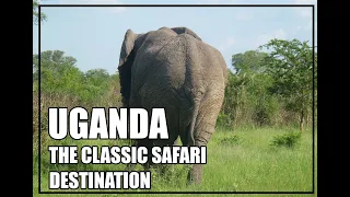 UGANDA, THE CLASSIC SAFARI (BIG FIVE) DESTINATION.