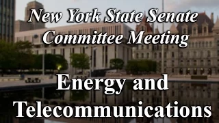 Senate Standing Committee on Energy and Telecommunications - 03/23/17