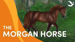 Meet the Morgan Horse 💜🐎 | Star Stable Breeds