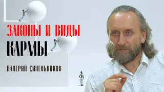 Законы и виды кармы. Валерий Синельников