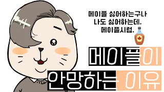 [메이플] 메이플이 안망하는 이유 제 생각은 그렇습니다...