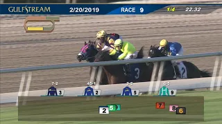 Gulfstream Park February 20, 2019 Race 9