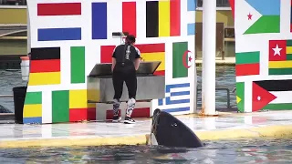 Orca Ultimate Show - Marineland Antibes || FULL SHOW