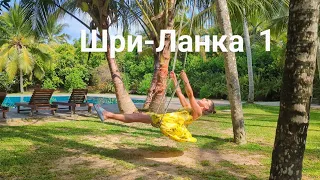 Шри-Ланка с черепахами, обезьянами, змеями и людьми!