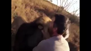 Man hugs a lion