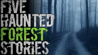 5 REAL Haunted Forest Stories that will Keep You Up at Night