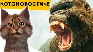 КИНГ КОНГ | И #ФАКТЫ, Которые ТЫ ОБЯЗАН ЗНАТЬ | КОТОНОВОСТИ [8]