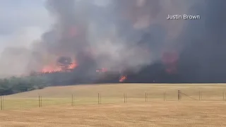 Flower farm in Tangipahoa Parish battling wildfires