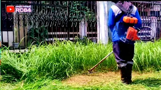 Kata Pelanggan Rumput Nya Sudah Tinggi membuat Rumah nya Seperti tak Berpenghuni   30  Mei 2024