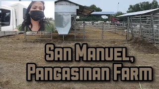 Vlog 21: San Manuel, Pangasinan Farm