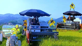 Wukong and Bat Gioi drive funny rice harvesters