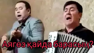 Аягөз қайда барасың? Құдаларды күшті билетті