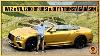 MOTORUL 6.0 W12 BITURBO PE TRANSFĂGĂRĂȘAN! BENTLEY CONTINENTAL GTC SPEED & FLYING SPUR & MULȚI URȘI