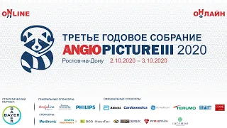 ANGIOPICTURE 2020