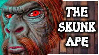 SKUNK APE - The Legend of Florida’s Bigfoot Explained ( Florida Folklore )