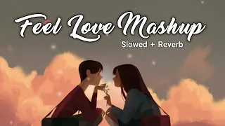 Feel Love Mashup (Slowed+Reverb) | Ayon MC