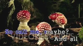 Carly Rae Jepsen - Call Me Maybe (Karaoke/Lyrics/Instrumental)