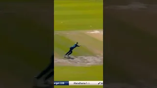 Charlie Dean takes an awesome diving catch to dismiss Shafali Verma