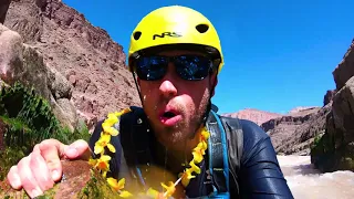 Bedrock Rapid Carnage- Don't Go Left! Bad Swim in the Grand Canyon Bedrock Rapid