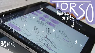 Anatomy Study - Torso // Sketch with Me // ASMR