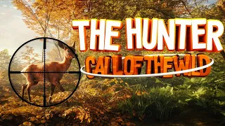 The Hunter: Call of the Wild | Медвежья Тайга #2