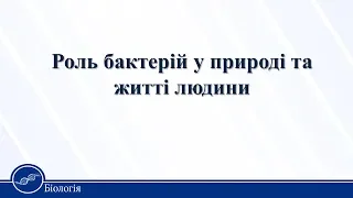 Роль бактерій у природі та житті людини. Біологія 10 клас