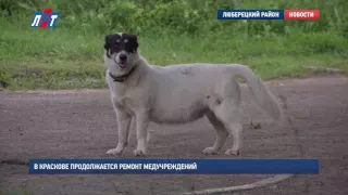 В Краскове продолжается ремонт медучреждений