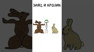 А вы знаете как различить кролика и зайца?  #академияброкколи #shorts #анимация #шортс #животные