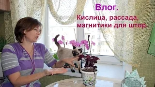 Домашний влог.