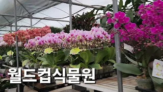 월드컵식물원 Flowers