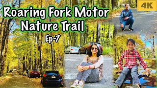 Roaring Fork Motor Nature Trail Drive Through Experience ||Fall In Smoky Mountains National Park||4K