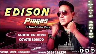 EDISON PINGOS  (audio en vivo) 2019