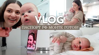 VLOG // Мы сделали РФ паспорт Монте! Теперь можем улетать! Реакция родителей // Скачки роста