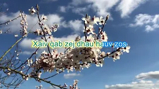 Nyiam Koj Tiag Tsis Zoo Qhia Karaoke By Maiv Xyooj