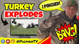 Turkey Explodes into Back Flip!! Archery Kill in California!