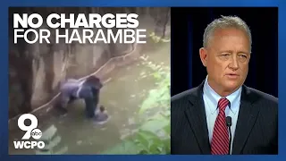 Prosecutor: No charges against mother in Harambe's death