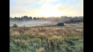 Деревня Домкино с тремя жителями. Псковская область