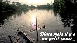 CE SILURE ATTAQUE MAIS IL Y'A UN PROBLÈME... ( PECHE AU BOUCHON )