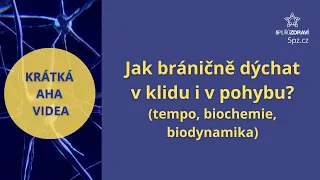 Jak správně bráničně dýchat v klidu i v pohybu? (tempo, biochemie, biodynamika)