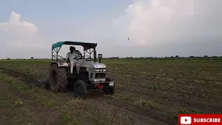 EICHER 485 with cultivator in Field