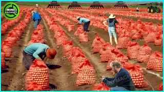 The Most Modern Agriculture Machines That Are At Another Level , How To Harvest Onions In Farm ▶3