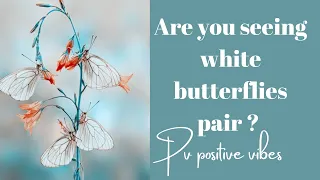 @PVPositiveVibes1111  Are you seeing white  butterflies pair 🦋😇🌸 ? ¶¶ check messages ¶¶